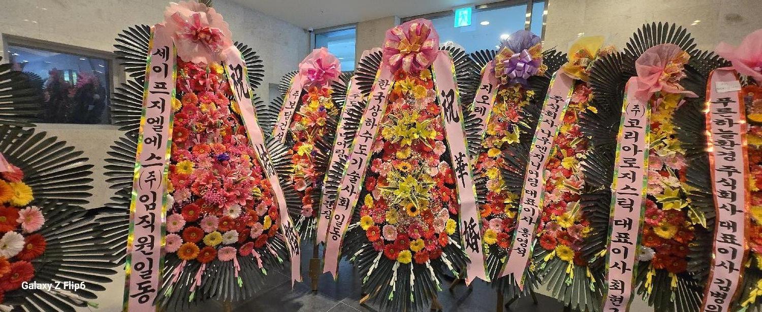 업로드 이미지