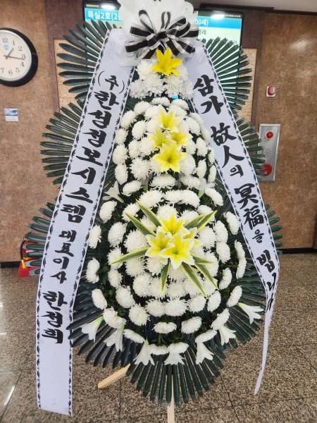 업로드 이미지