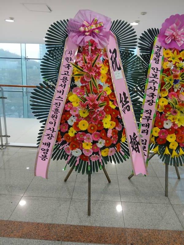 업로드 이미지