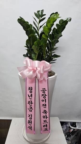 업로드 이미지