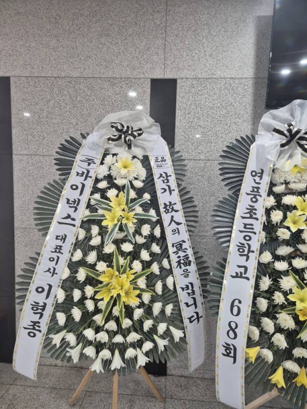 업로드 이미지