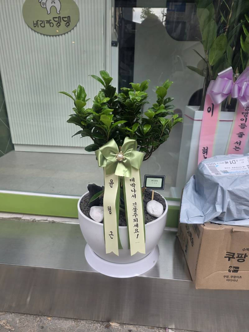 업로드 이미지