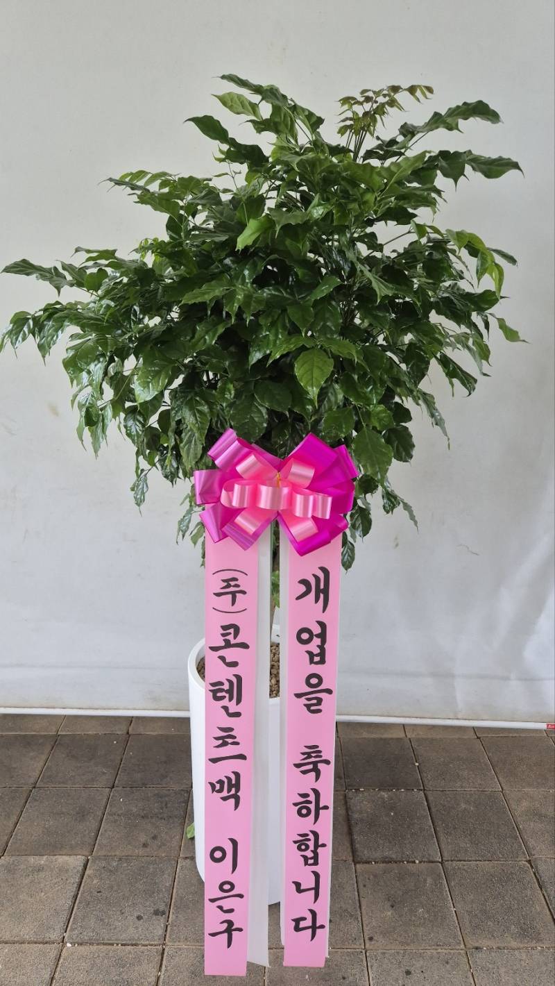 업로드 이미지