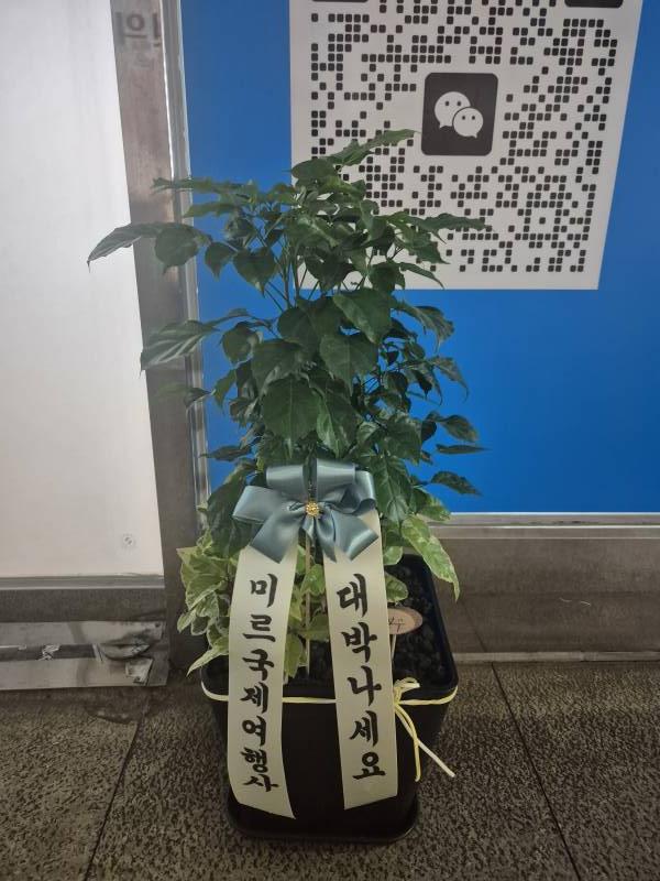 업로드 이미지