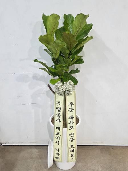 업로드 이미지