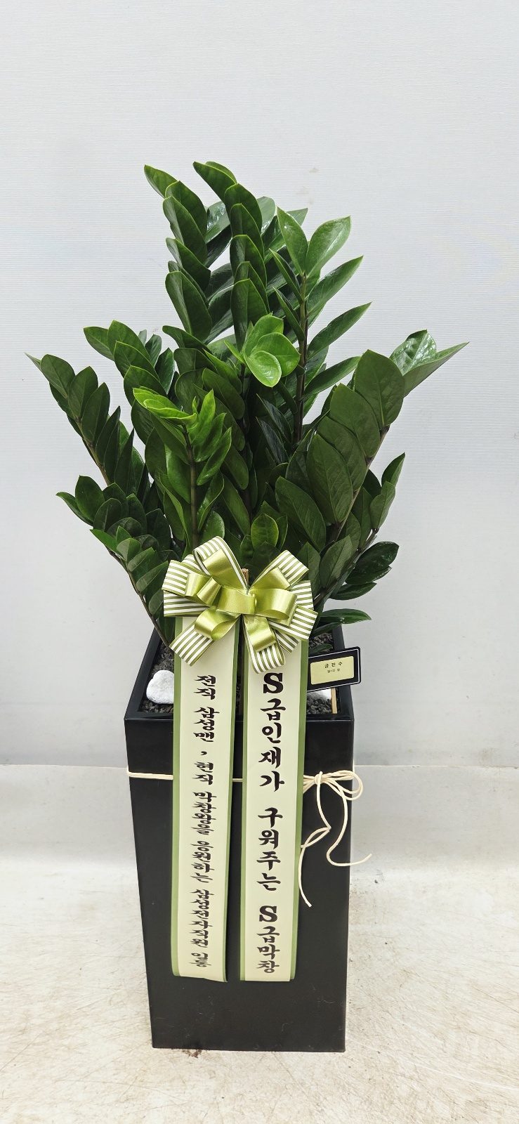 업로드 이미지