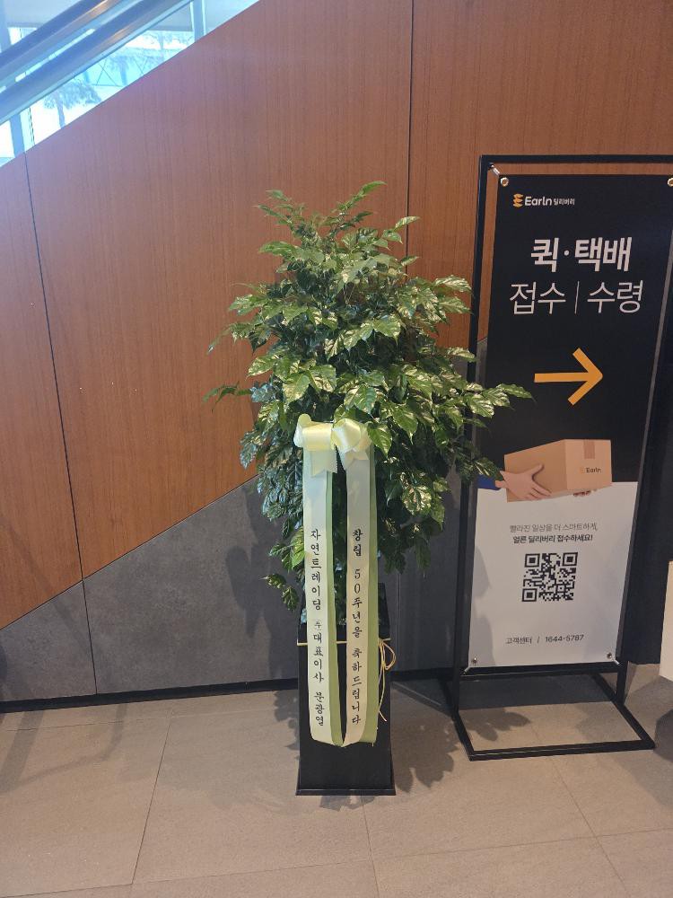 업로드 이미지