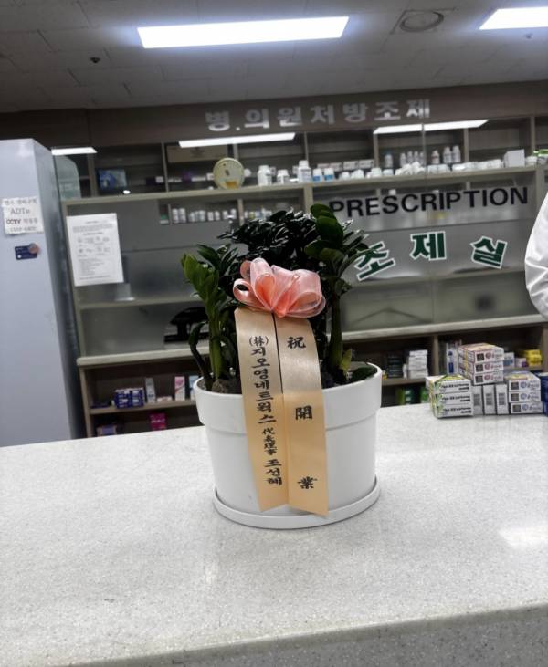업로드 이미지