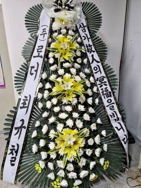 업로드 이미지