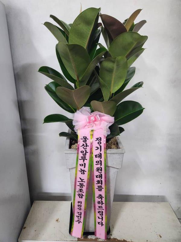 업로드 이미지