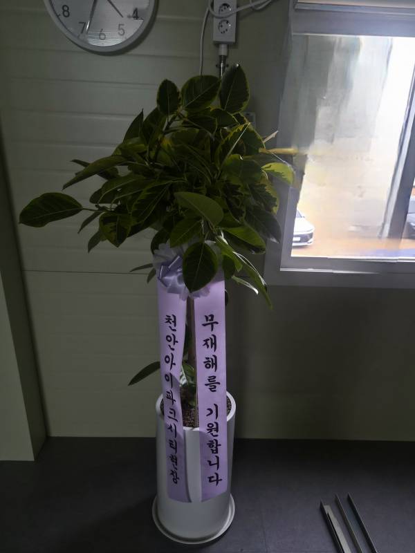 업로드 이미지