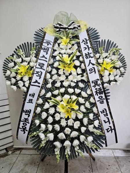 업로드 이미지