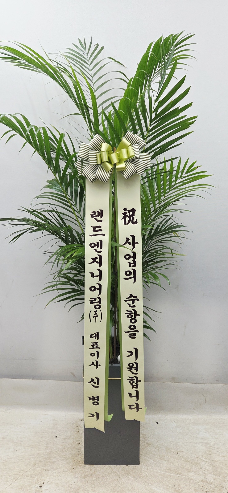 업로드 이미지