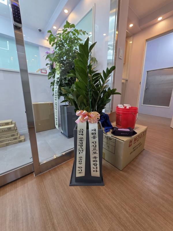 업로드 이미지