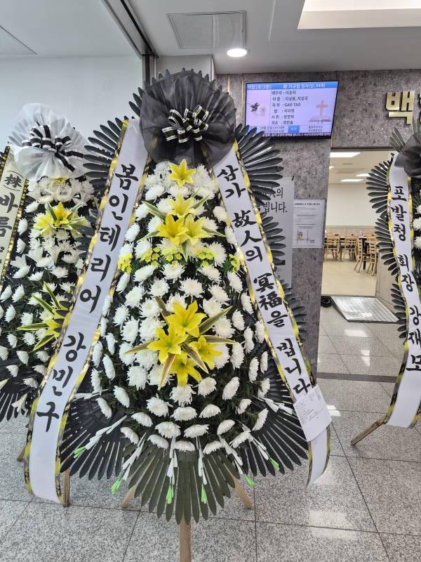 업로드 이미지