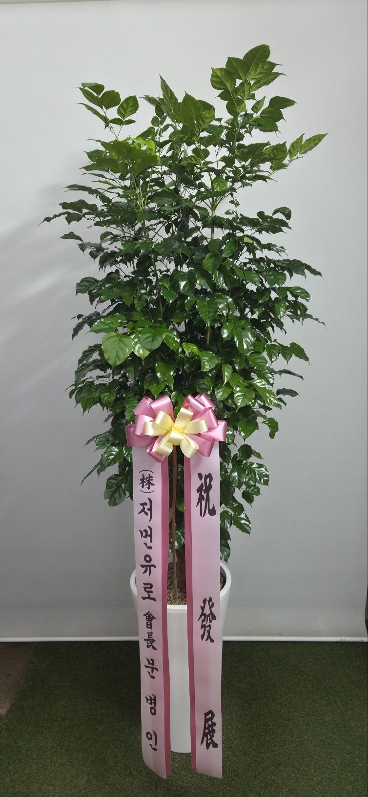 업로드 이미지