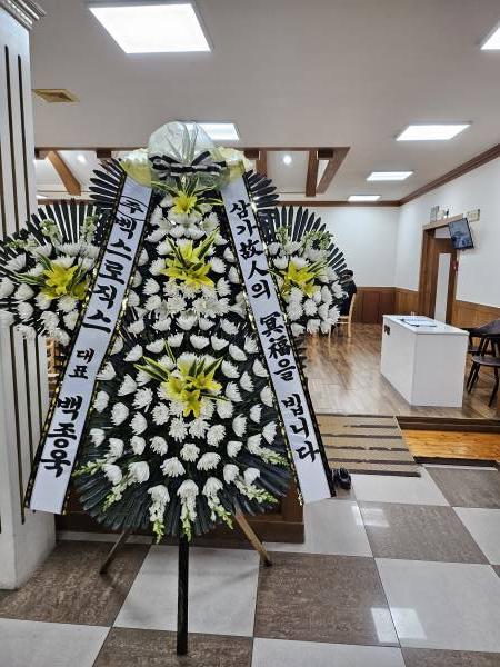 업로드 이미지