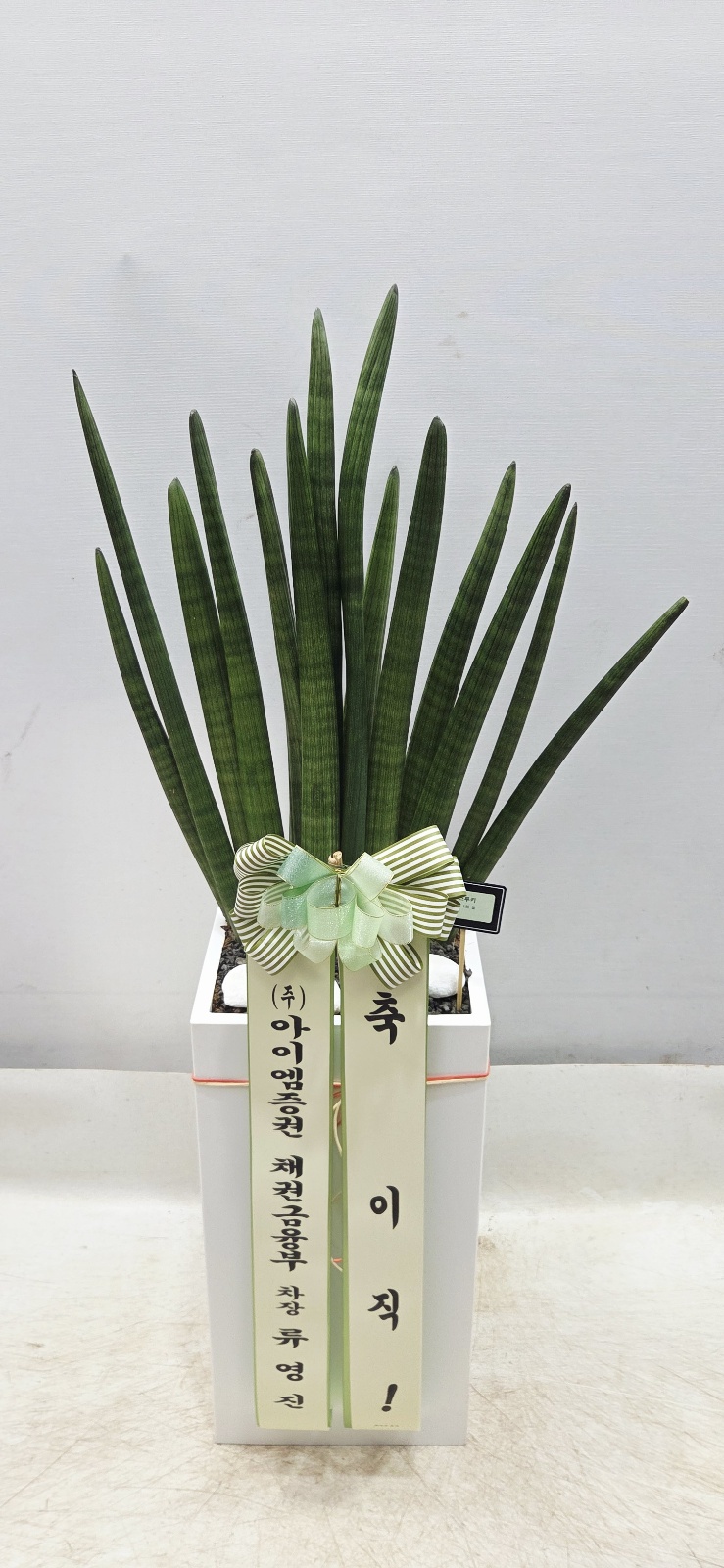 업로드 이미지