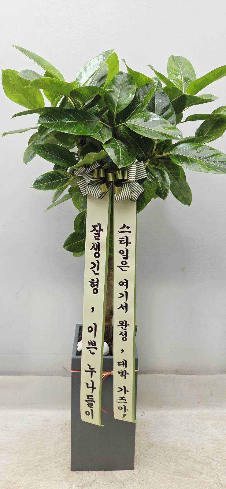 업로드 이미지