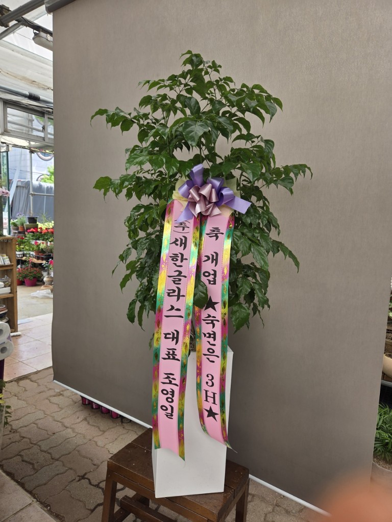 업로드 이미지