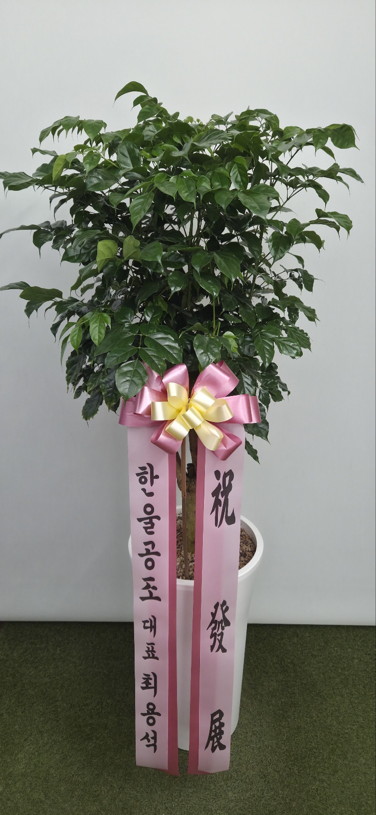 업로드 이미지