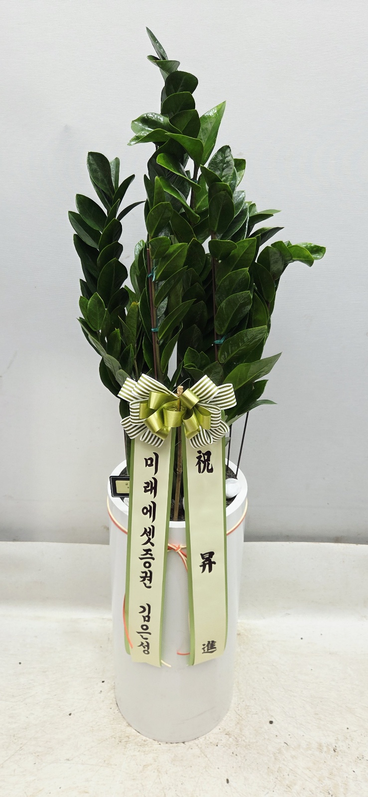 업로드 이미지