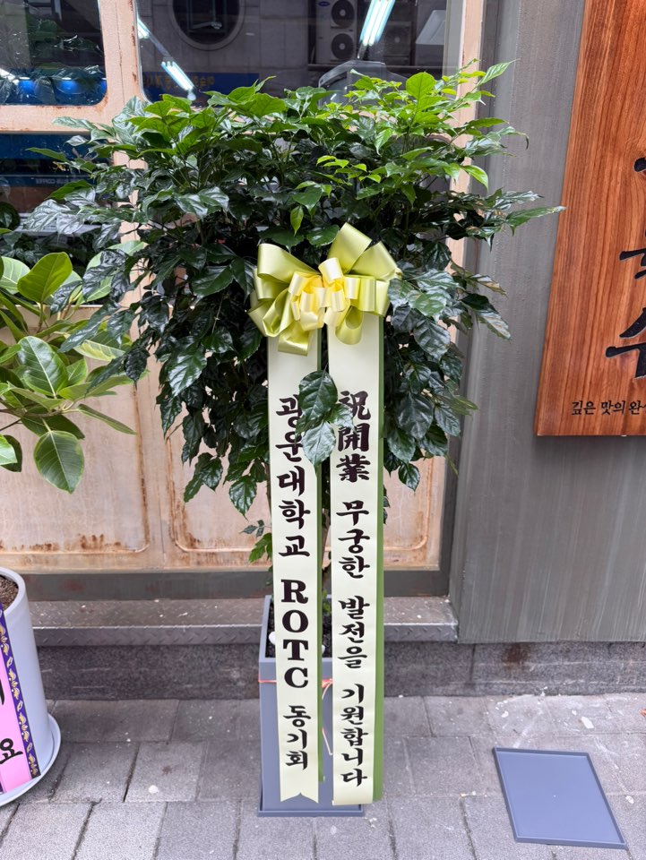 업로드 이미지