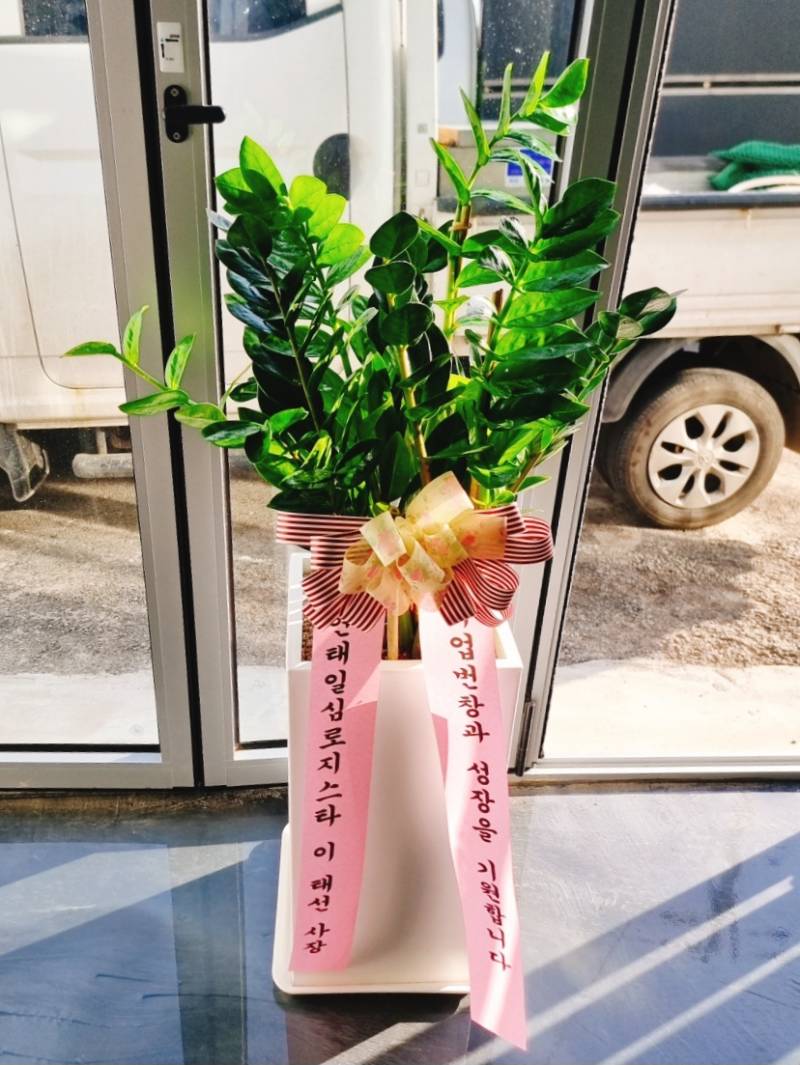 업로드 이미지