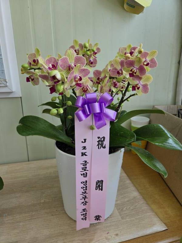 업로드 이미지