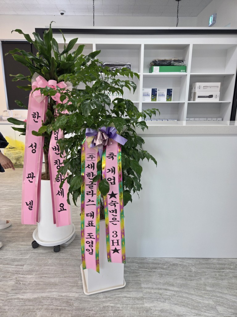 업로드 이미지