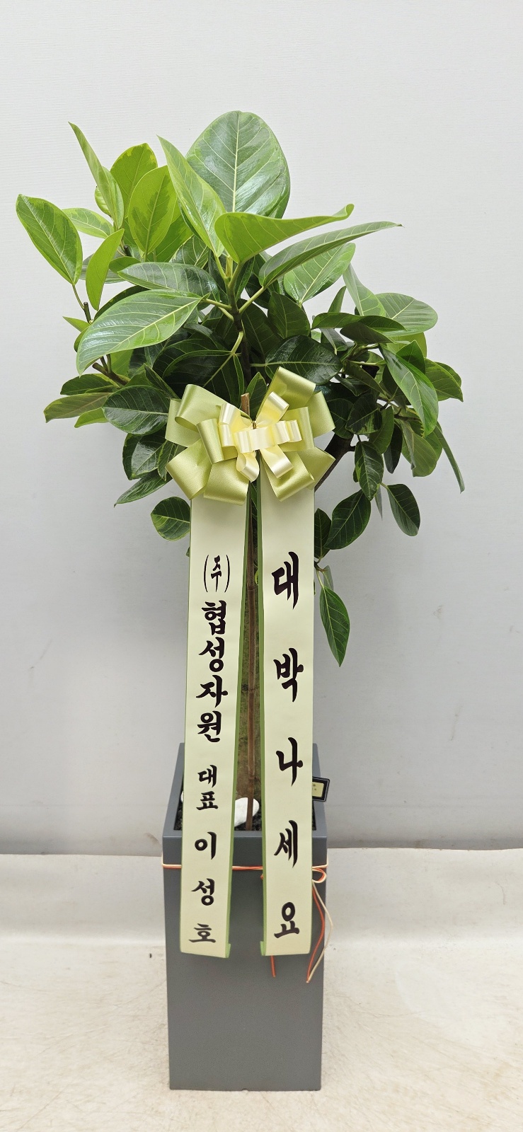 업로드 이미지