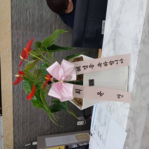 업로드 이미지
