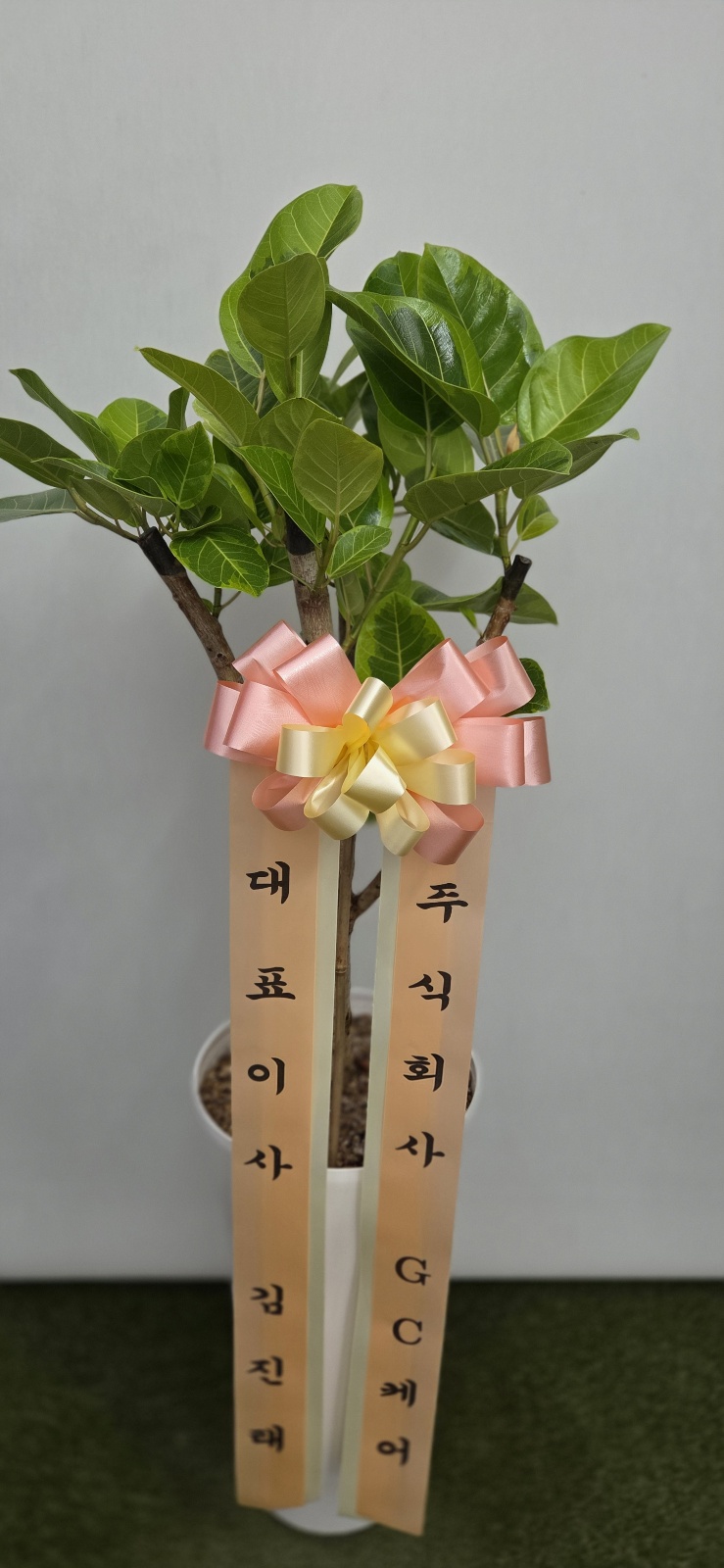 업로드 이미지