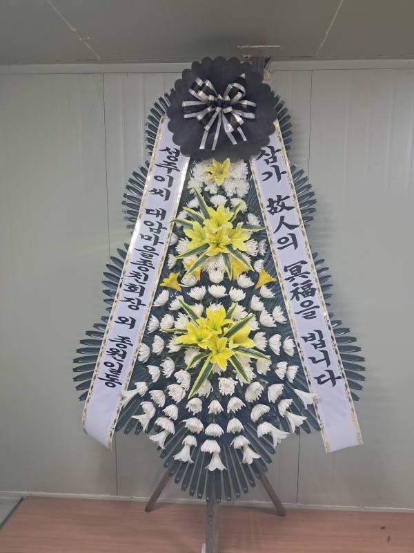 업로드 이미지