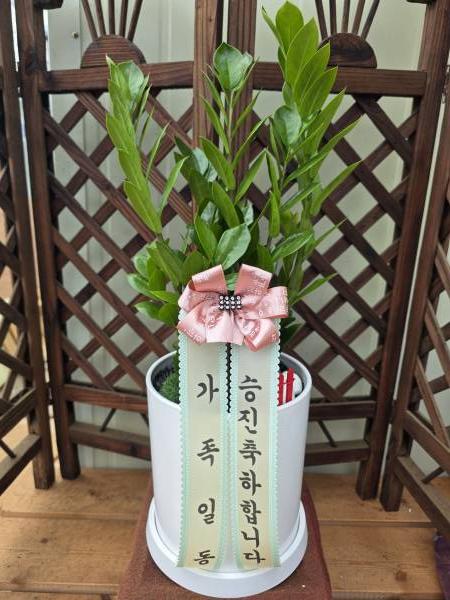 업로드 이미지