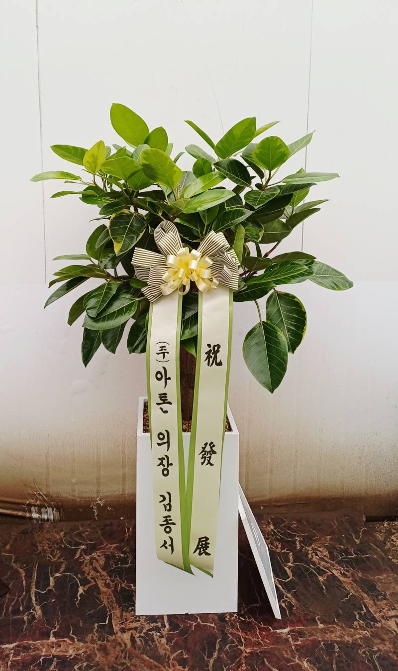 업로드 이미지