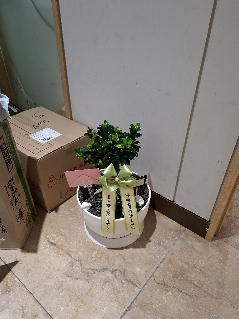 업로드 이미지