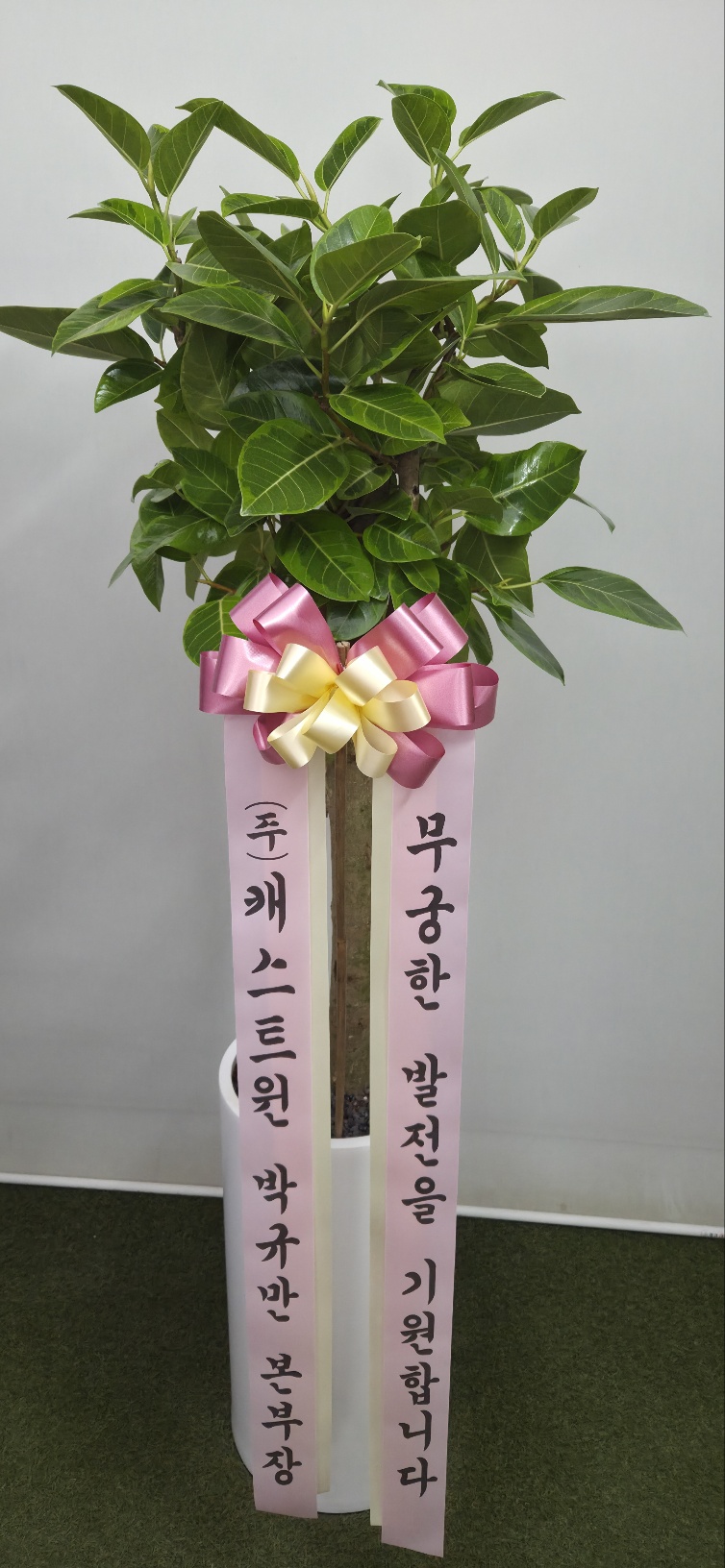 업로드 이미지