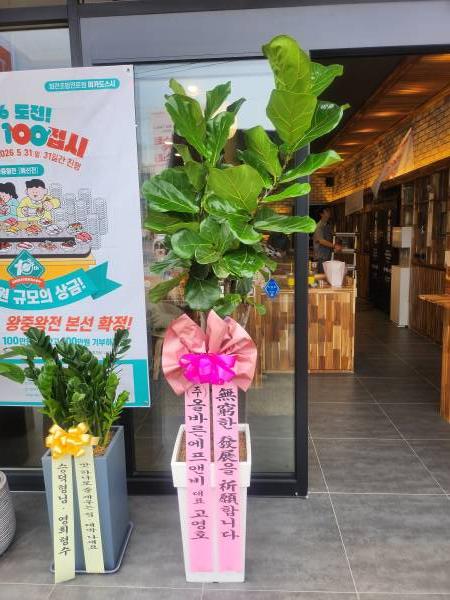 업로드 이미지