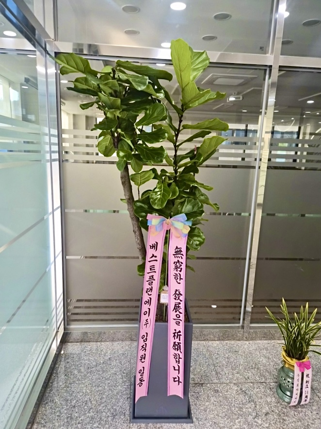배송사진