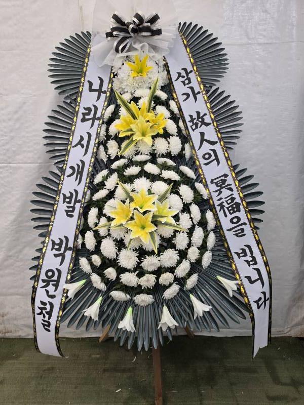 업로드 이미지