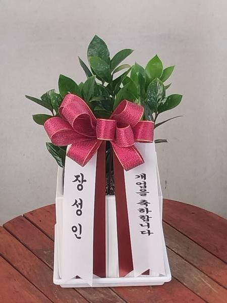 업로드 이미지