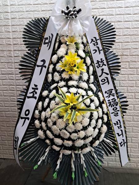 업로드 이미지