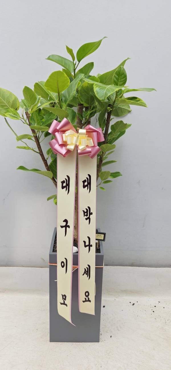 업로드 이미지