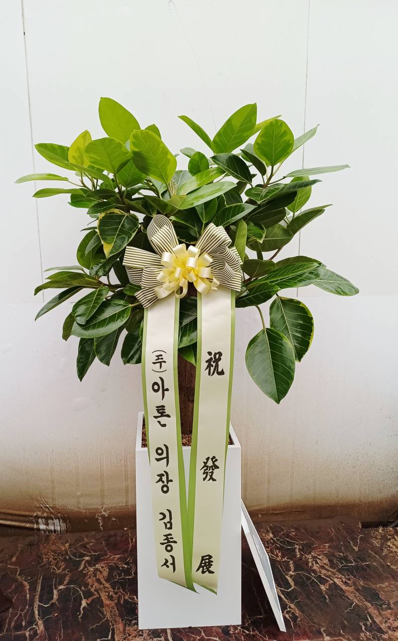 업로드 이미지