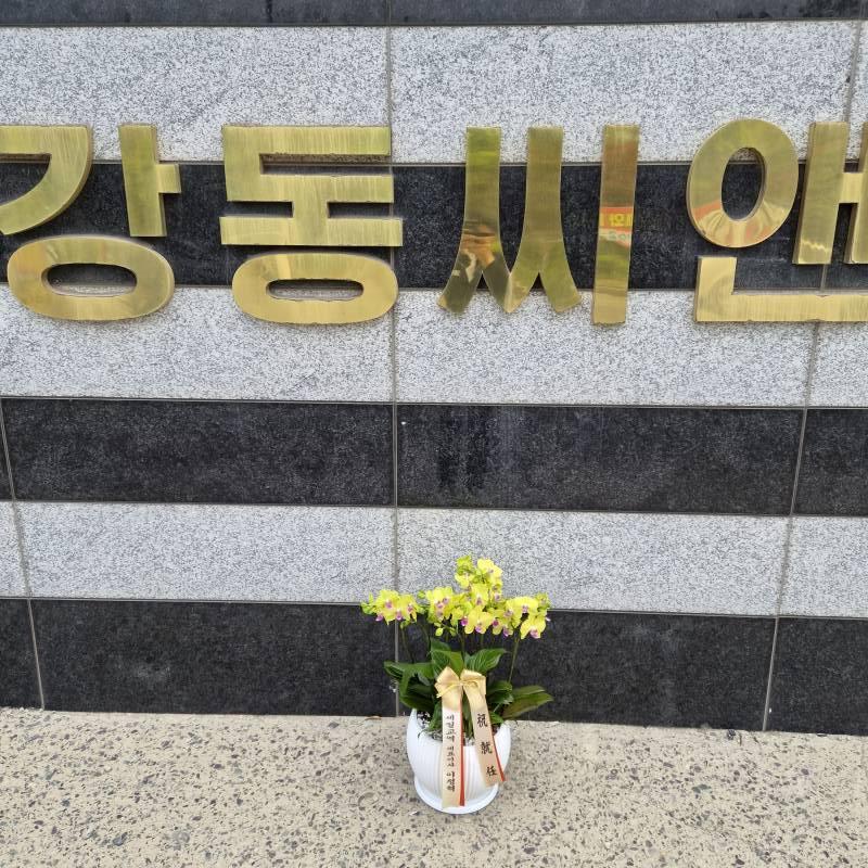 업로드 이미지