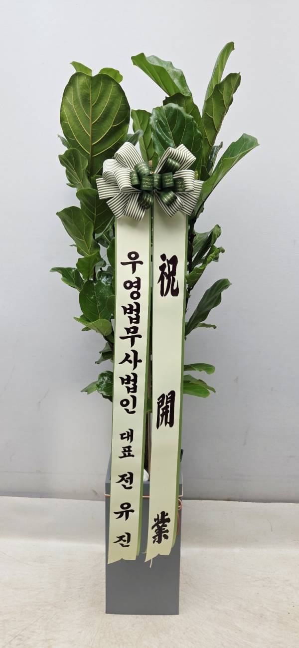 업로드 이미지