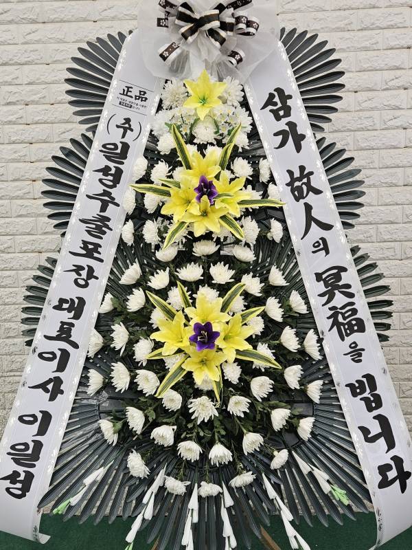 업로드 이미지