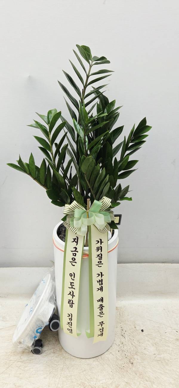 업로드 이미지