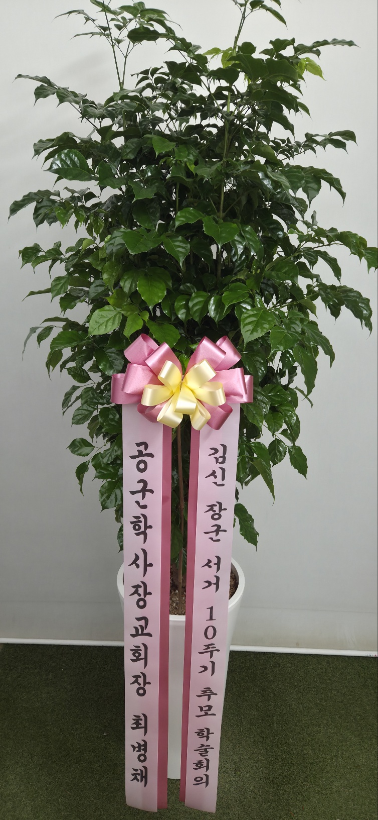 업로드 이미지